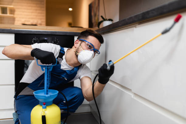 Best Pest Removal Services  in Lake Clarke Shores, FL