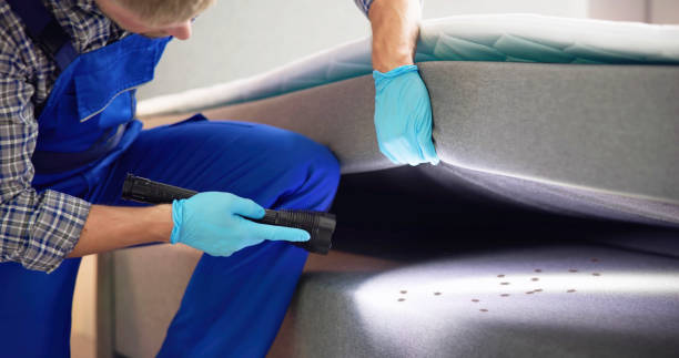 Best Ant Control Services  in Lake Clarke Shores, FL