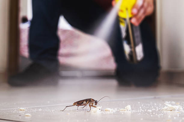 Best Rat Extermination Near Me  in Lake Clarke Shores, FL